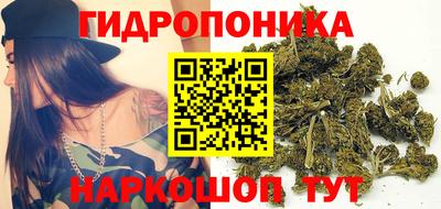 СК Пыть-Ях