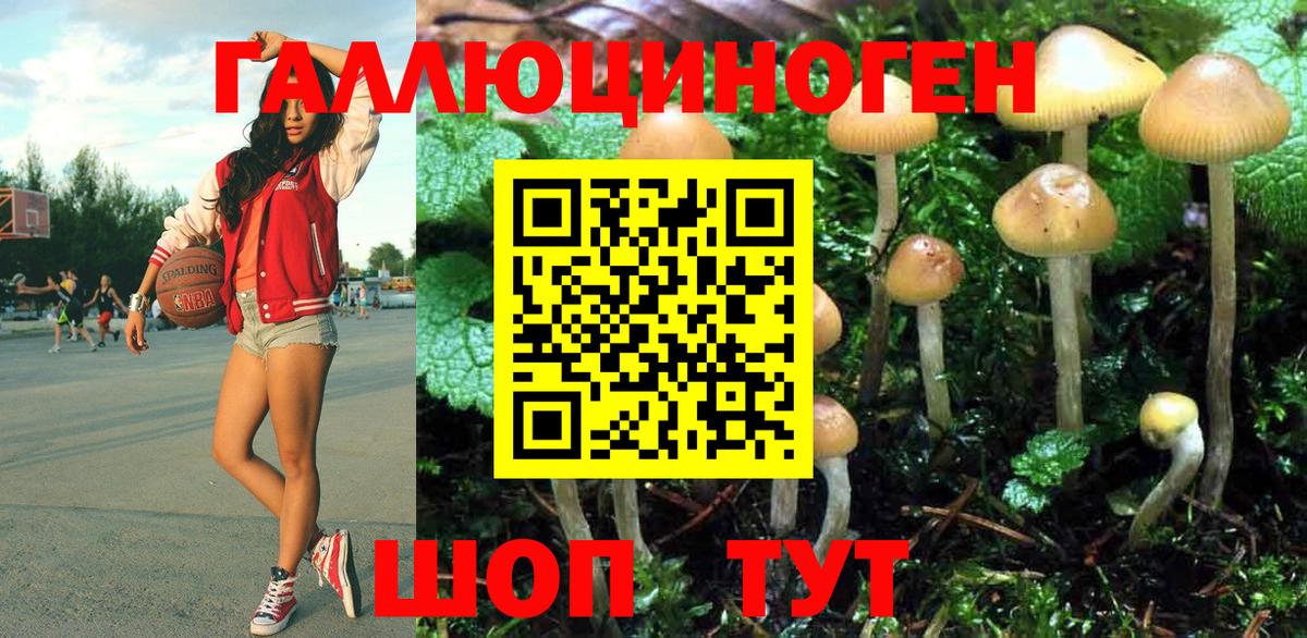 Псилоцибиновые грибы прущие грибы Сосновоборск