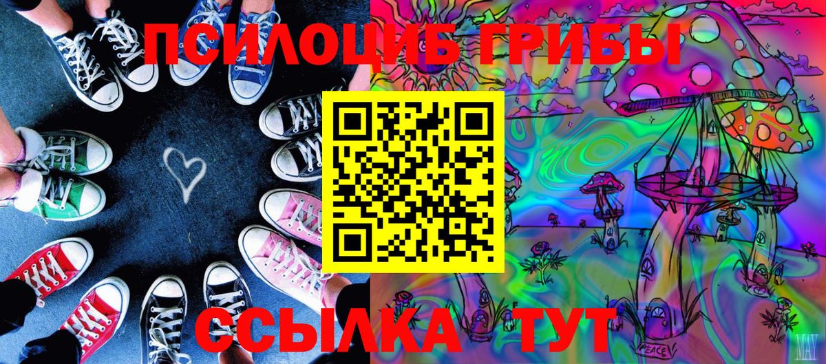 дарнет шоп  Вход с VPN  Сосновоборск  Галлюциногенные грибы Cubensis  Галлюциногенные грибы прущие грибы 